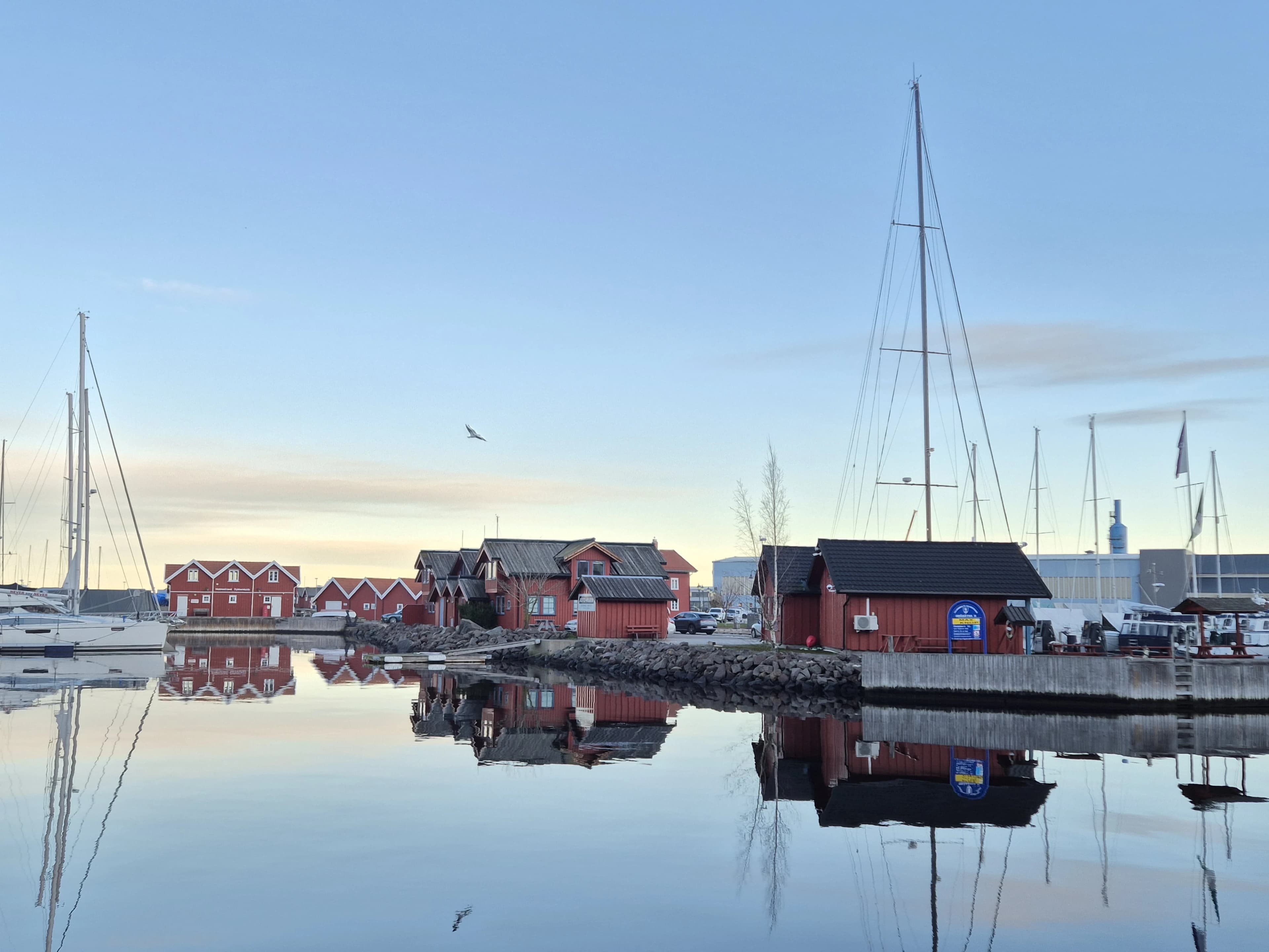 Holmestrand havn i kveldssol