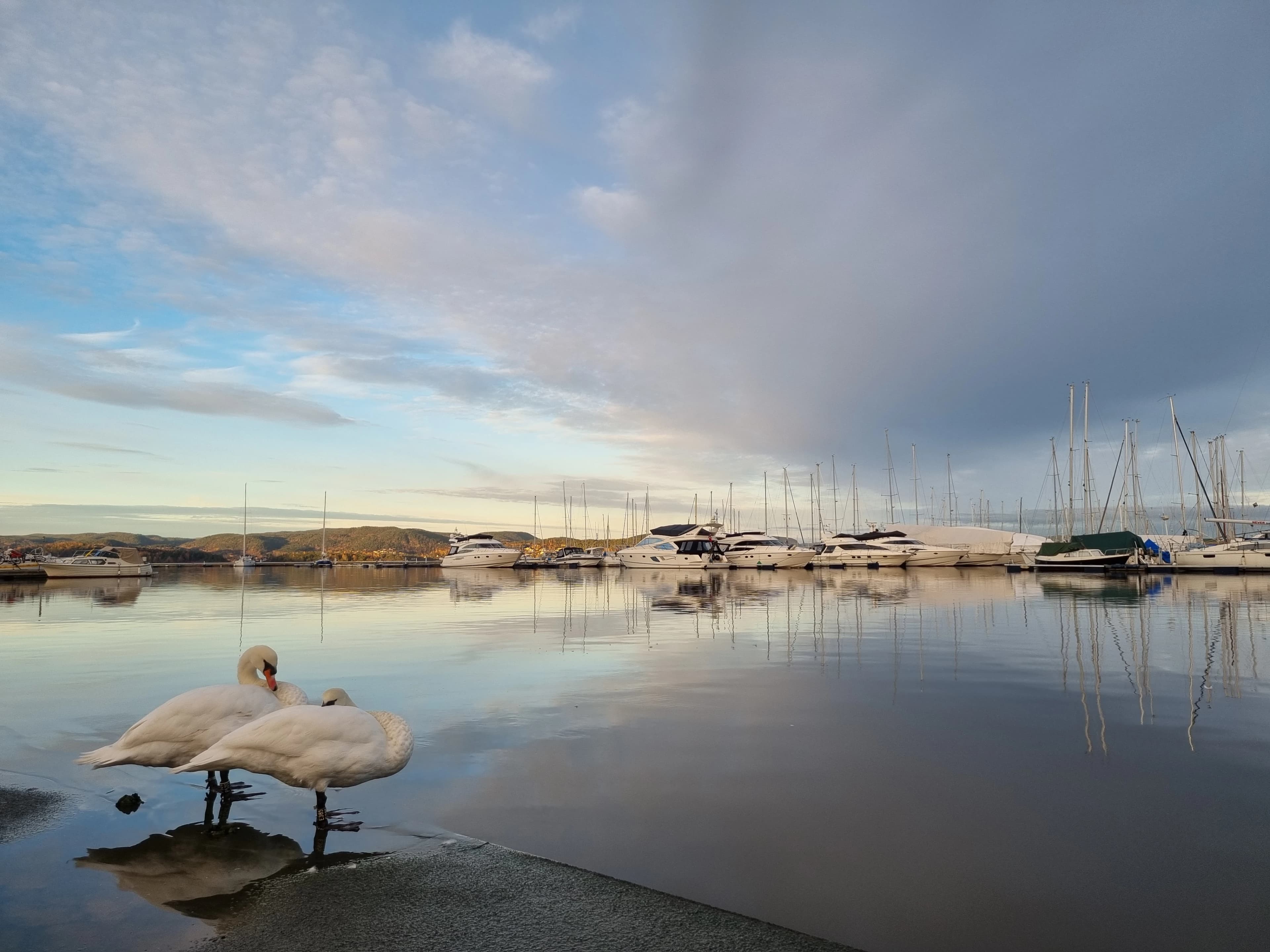 Holmestrand — kystby mellom fjord og fjell